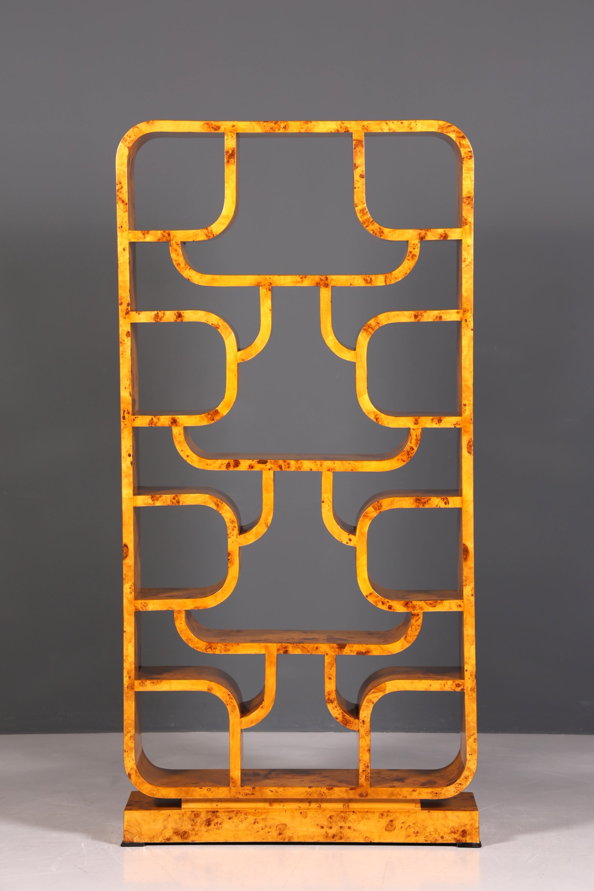 Impressionnante bibliothèque de style Ludvik Volak, en bouleau, style Art déco, meuble de luxe, pièce culte pour bibliothèque, séparateur de pièce