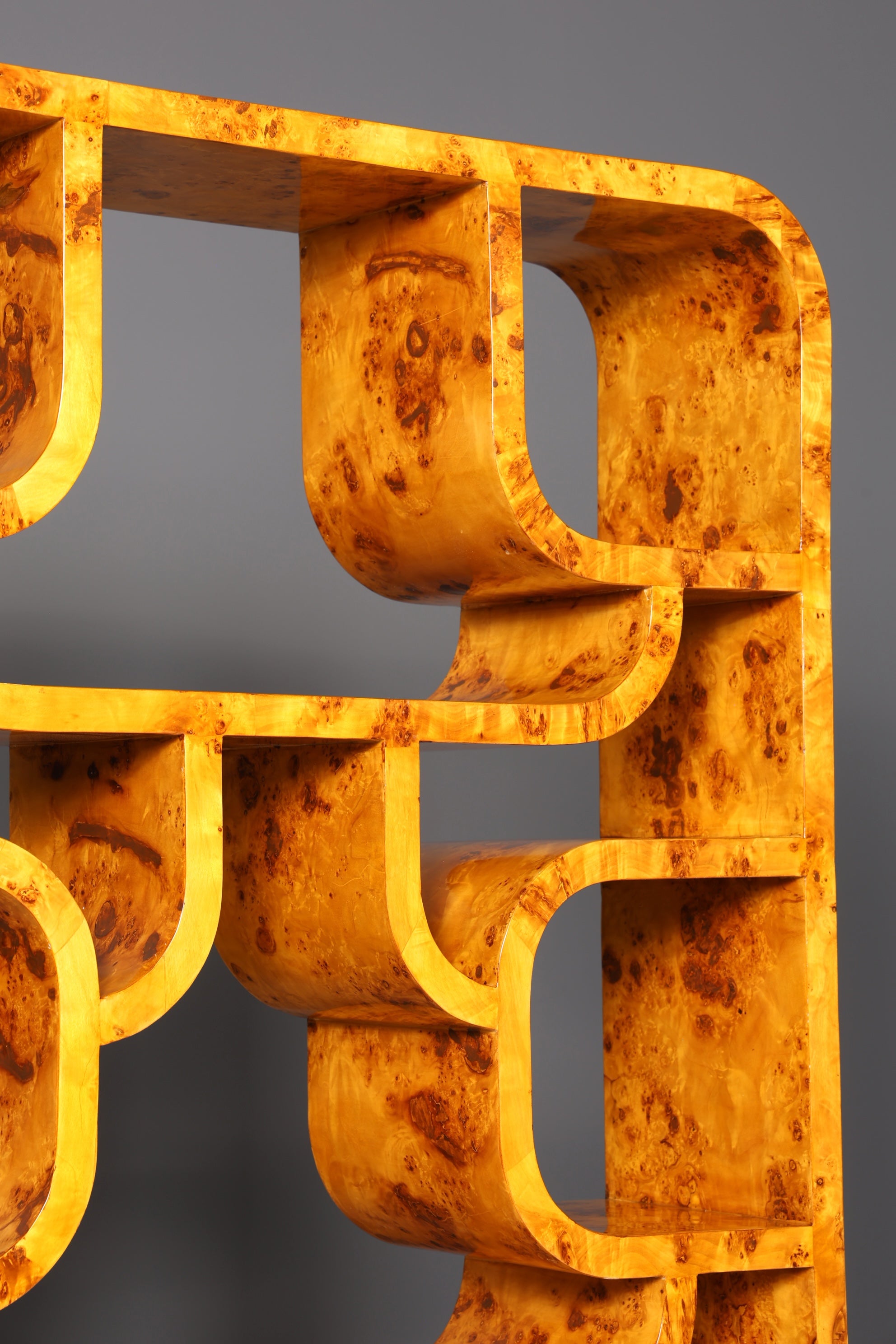 Impressionnante bibliothèque de style Ludvik Volak, en bouleau, style Art déco, meuble de luxe, pièce culte pour bibliothèque, séparateur de pièce