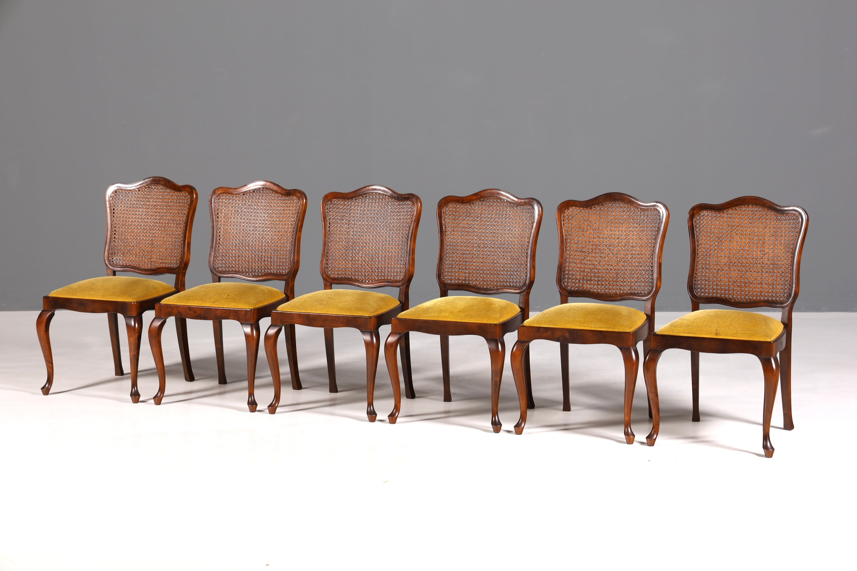 Ensemble de 6 magnifiques chaises Chippendale de style baroque, chaises rembourrées, chaises de cuisine, chaises de salle à manger