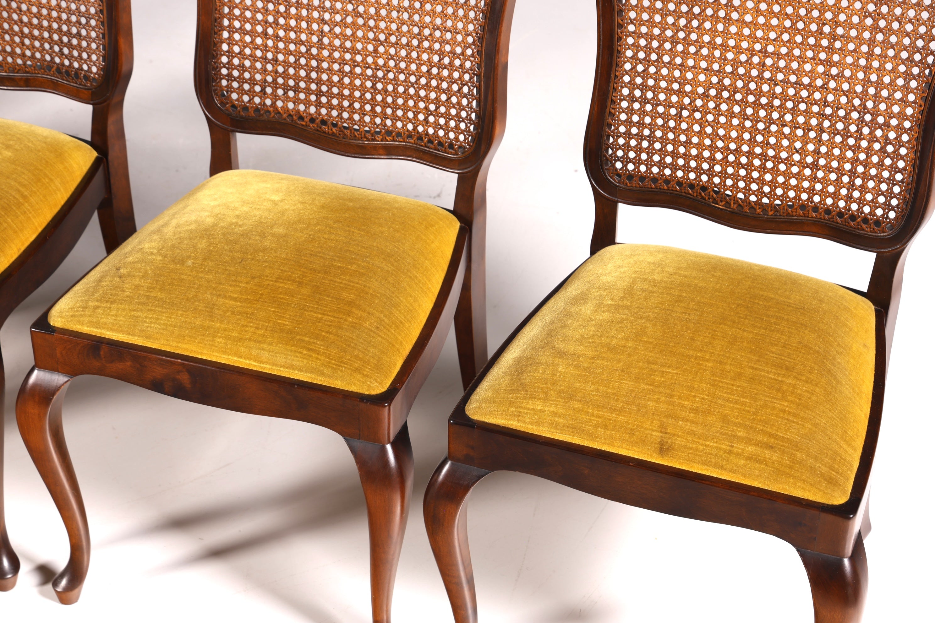 Ensemble de 6 magnifiques chaises Chippendale de style baroque, chaises rembourrées, chaises de cuisine, chaises de salle à manger