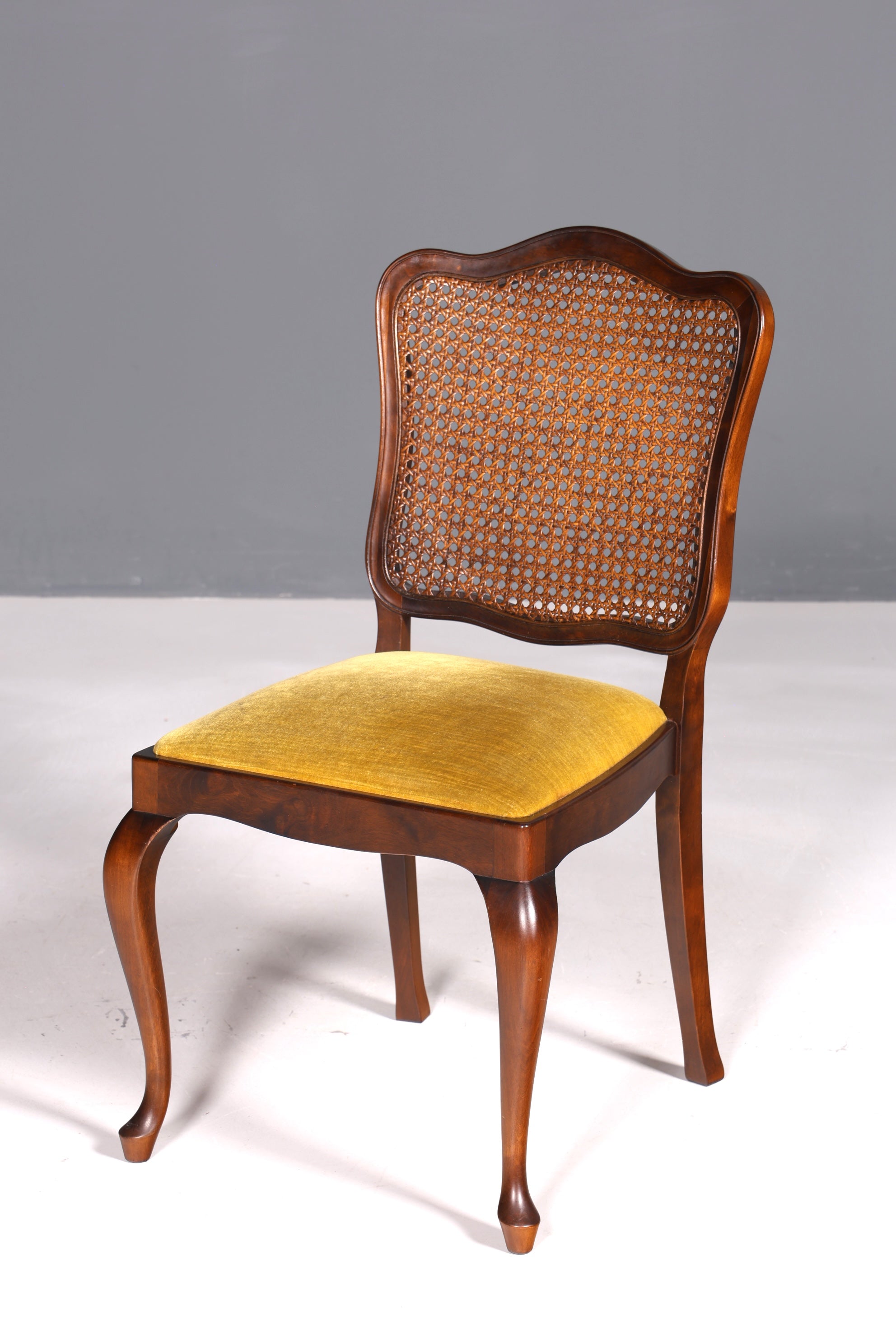 Ensemble de 6 magnifiques chaises Chippendale de style baroque, chaises rembourrées, chaises de cuisine, chaises de salle à manger