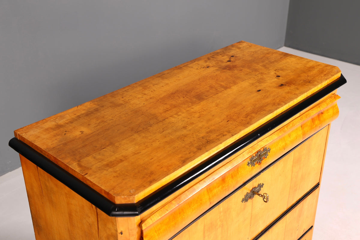 Magnifique commode Biedermeier ancienne en bouleau, vertiko, commode à tiroirs, vers 1850, bois massif