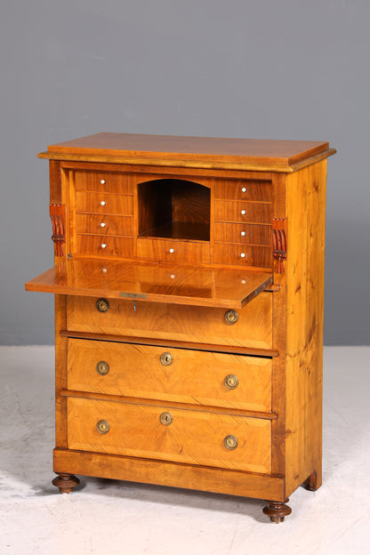 Wunderschöner Gründerzeit Sekretär Vertiko Highboard Louis Philippe Kommode um 1880