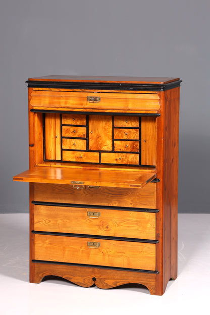 Secrétaire onirique Louis Philippe vers 1880, meuble ancien Gründerzeit, chiffonnier