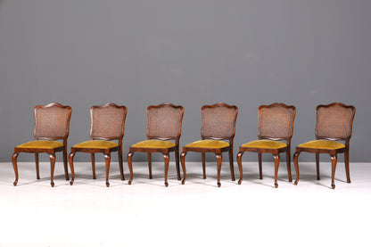 Ensemble de 6 magnifiques chaises Chippendale de style baroque, chaises rembourrées, chaises de cuisine, chaises de salle à manger