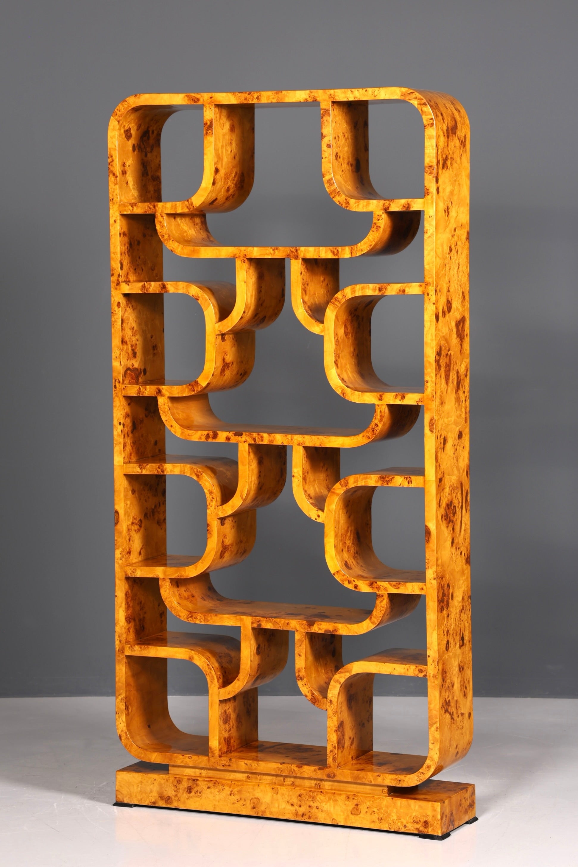 Impressionnante bibliothèque de style Ludvik Volak, en bouleau, style Art déco, meuble de luxe, pièce culte pour bibliothèque, séparateur de pièce