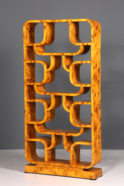 Impressionnante bibliothèque de style Ludvik Volak, en bouleau, style Art déco, meuble de luxe, pièce culte pour bibliothèque, séparateur de pièce