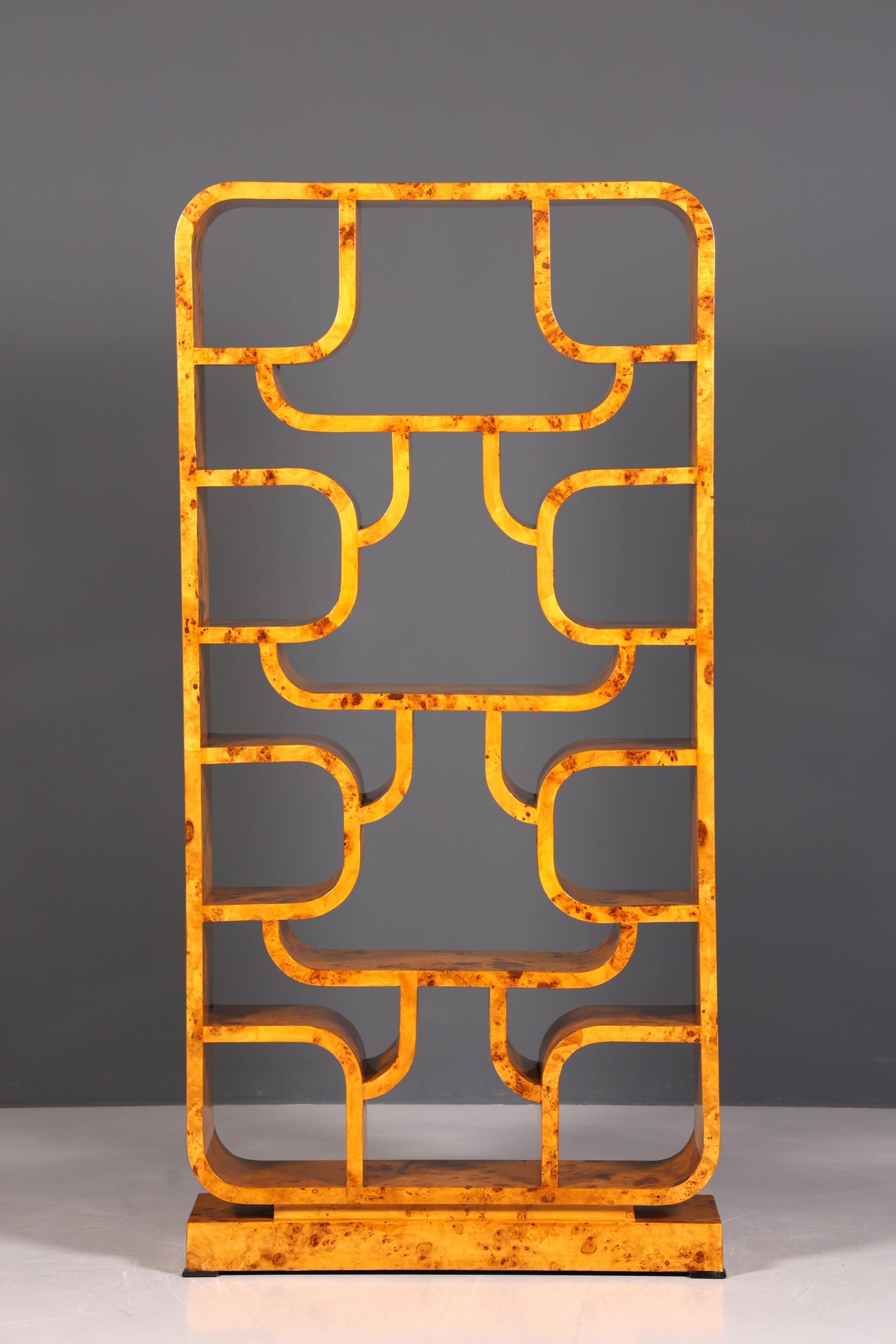 Impressionnante bibliothèque de style Ludvik Volak, en bouleau, style Art déco, meuble de luxe, pièce culte pour bibliothèque, séparateur de pièce