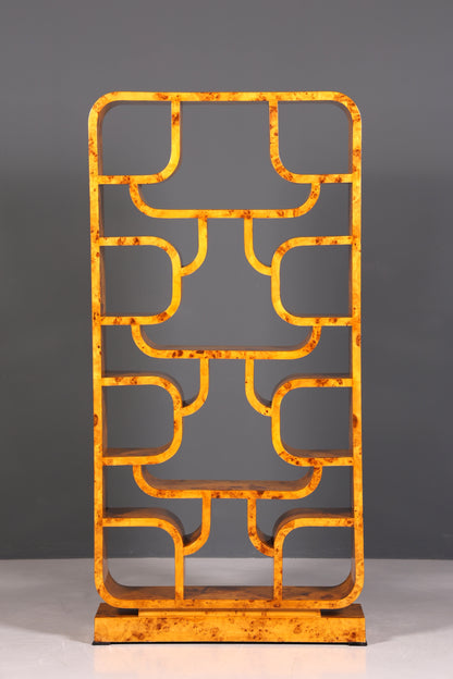 Impressionnante bibliothèque de style Ludvik Volak, en bouleau, style Art déco, meuble de luxe, pièce culte pour bibliothèque, séparateur de pièce