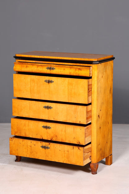 Wunderschöne Biedermeier Kommode Antik Vertiko Schubladenkommode Birke um 1850 Massivholz