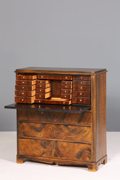 Stilvoller Biedermeier Sekretär Vertiko Antik Kommode Louis Philippe Schreibkommode