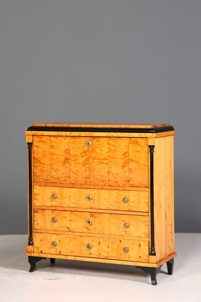Wunderschöner Original Biedermeier Sekretär um 1860 Kommode Antik Bürokommode