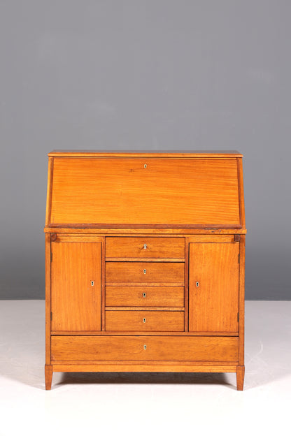Secrétaire anglais de style onirique, en bois véritable, ancien, vers 1900, meuble de rangement, bureau à écrire