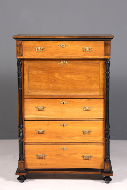Secrétaire onirique Gründerzeit, vertiko, buffet haut, commode Louis Philippe vers 1880