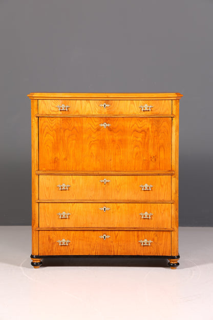 Wunderschöner Antiker Biedermeier Sekretär um 1880 Gründerzeit Echt Holz Schreibsekretär Antik