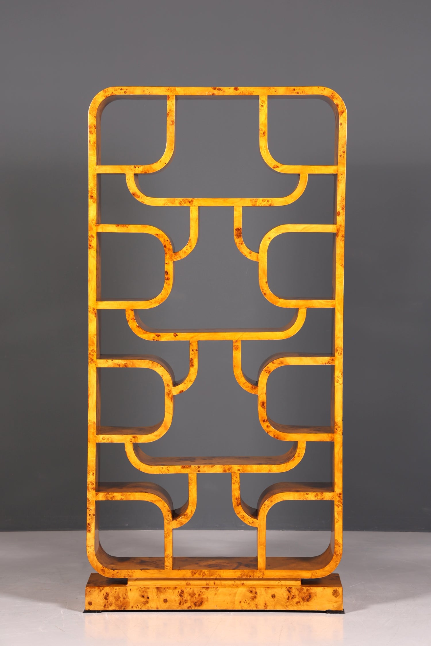 Impressionnante bibliothèque de style Ludvik Volak, en bouleau, style Art déco, meuble de luxe, pièce culte pour bibliothèque, séparateur de pièce