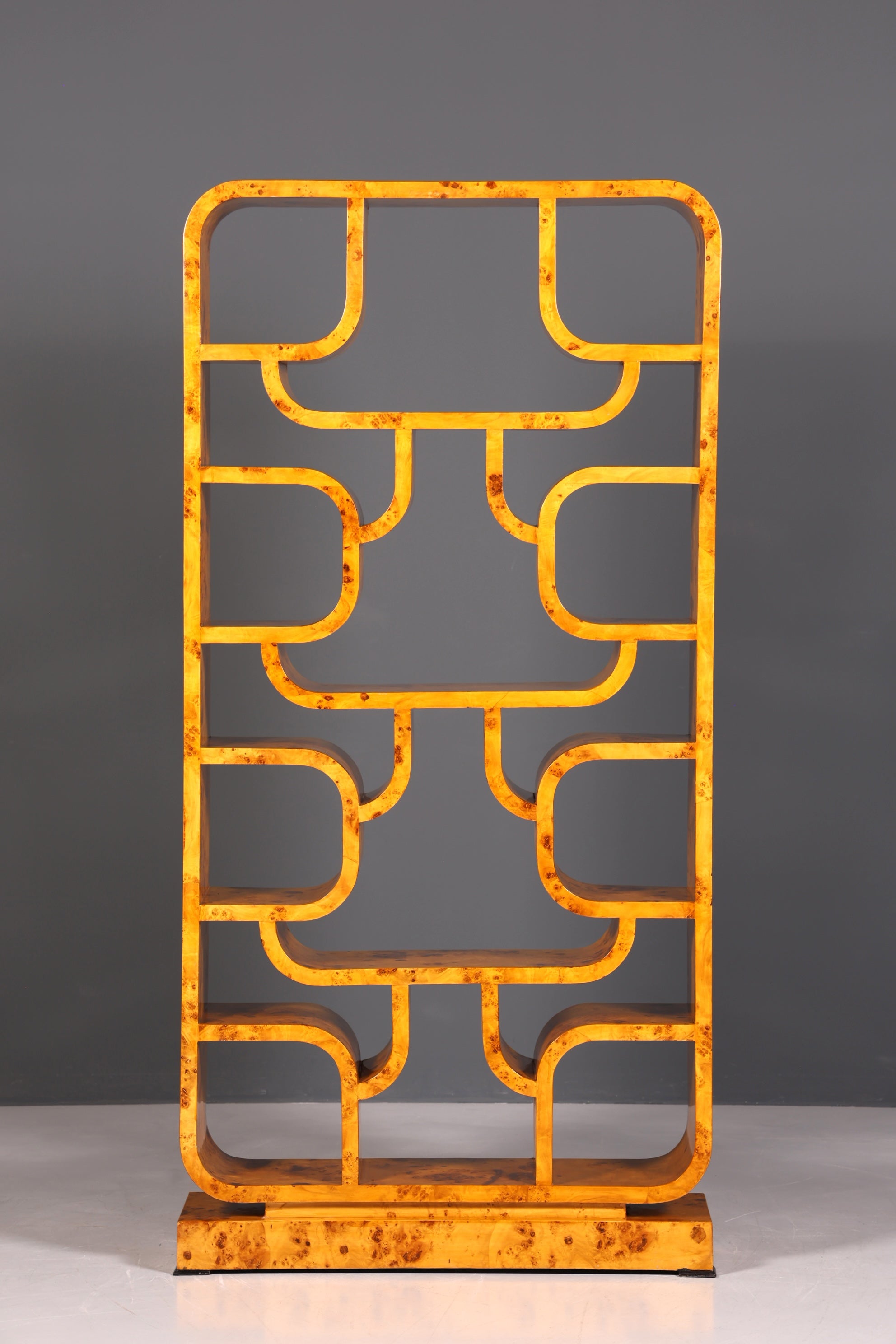 Impressionnante bibliothèque de style Ludvik Volak, en bouleau, style Art déco, meuble de luxe, pièce culte pour bibliothèque, séparateur de pièce