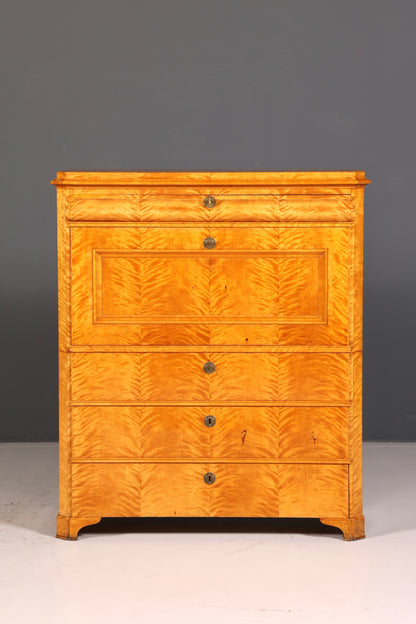 Impressionnant secrétaire Biedermeier, chiffonnier, commode antique, meuble de bureau, commode à écrire, bahut haut.