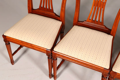 Edles 6er Set Stühle Gustavianischer Stil Englisch Esszimmerstühle Antik Polsterstuhl Set