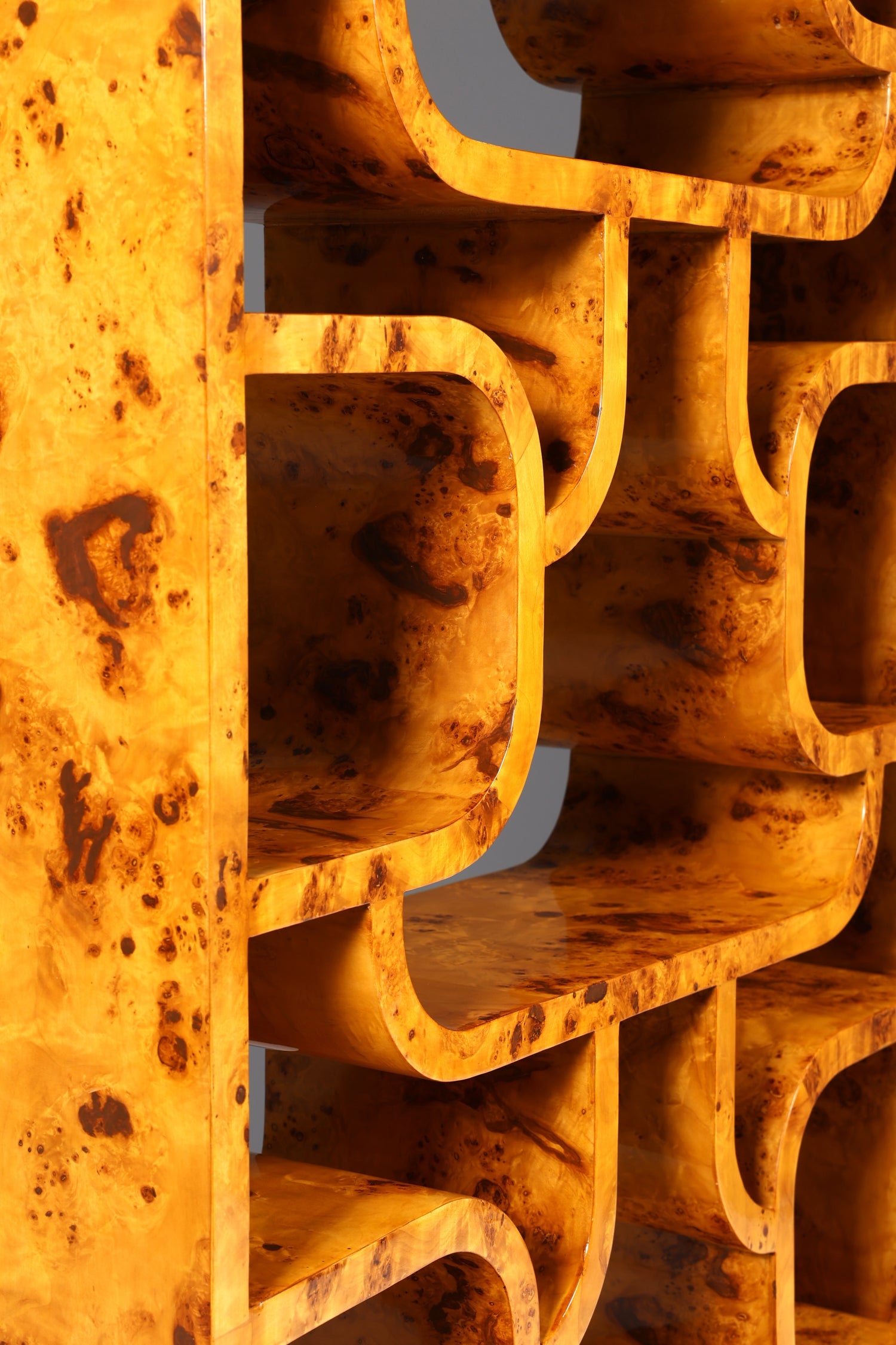 Impressionnante bibliothèque de style Ludvik Volak, en bouleau, style Art déco, meuble de luxe, pièce culte pour bibliothèque, séparateur de pièce