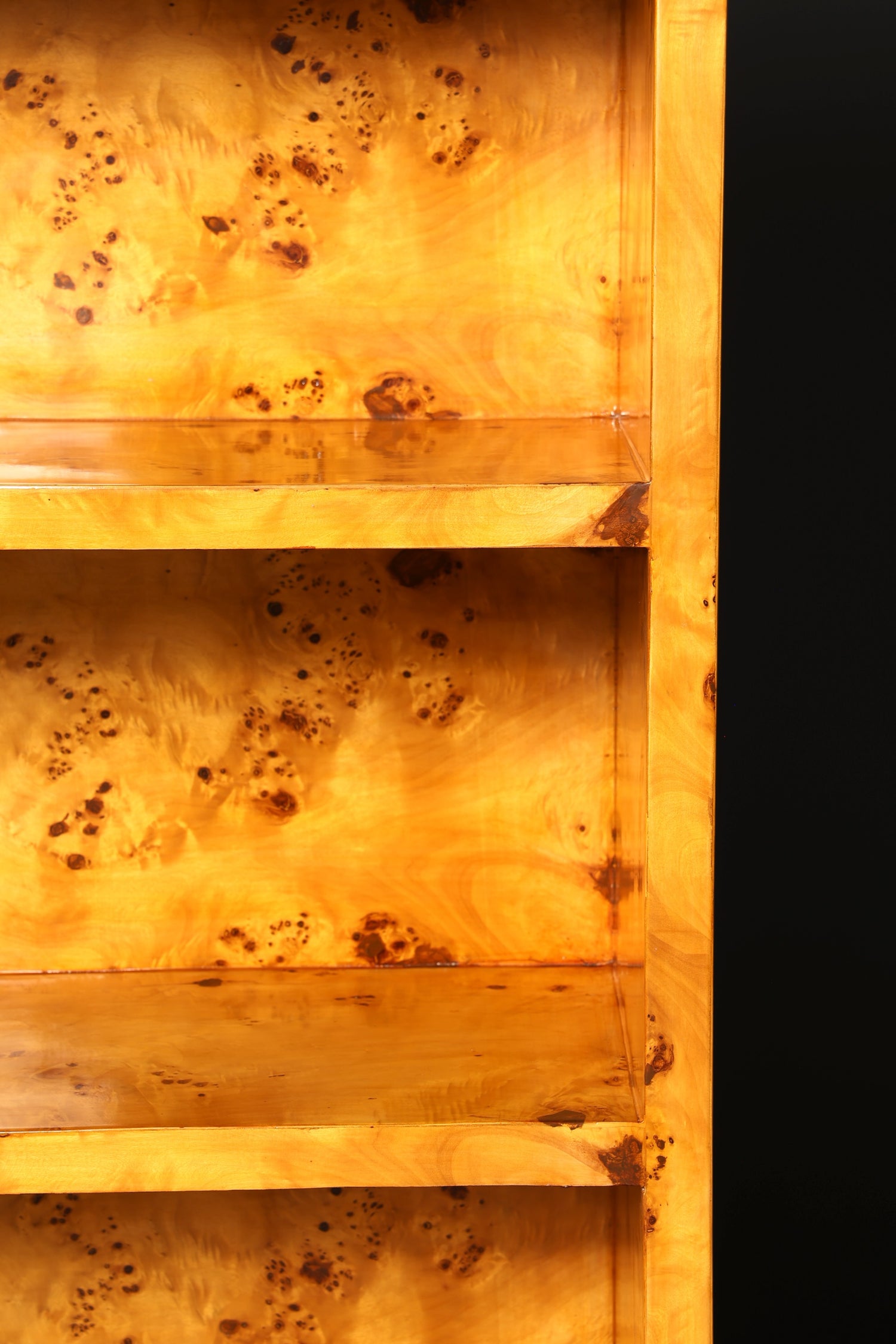 Magnifique étagère de style Art déco, étagère culte, étagère à livres, étagère de rangement pour livres, étagère de bibliothèque