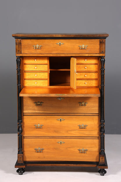 Secrétaire onirique Gründerzeit, vertiko, buffet haut, commode Louis Philippe vers 1880
