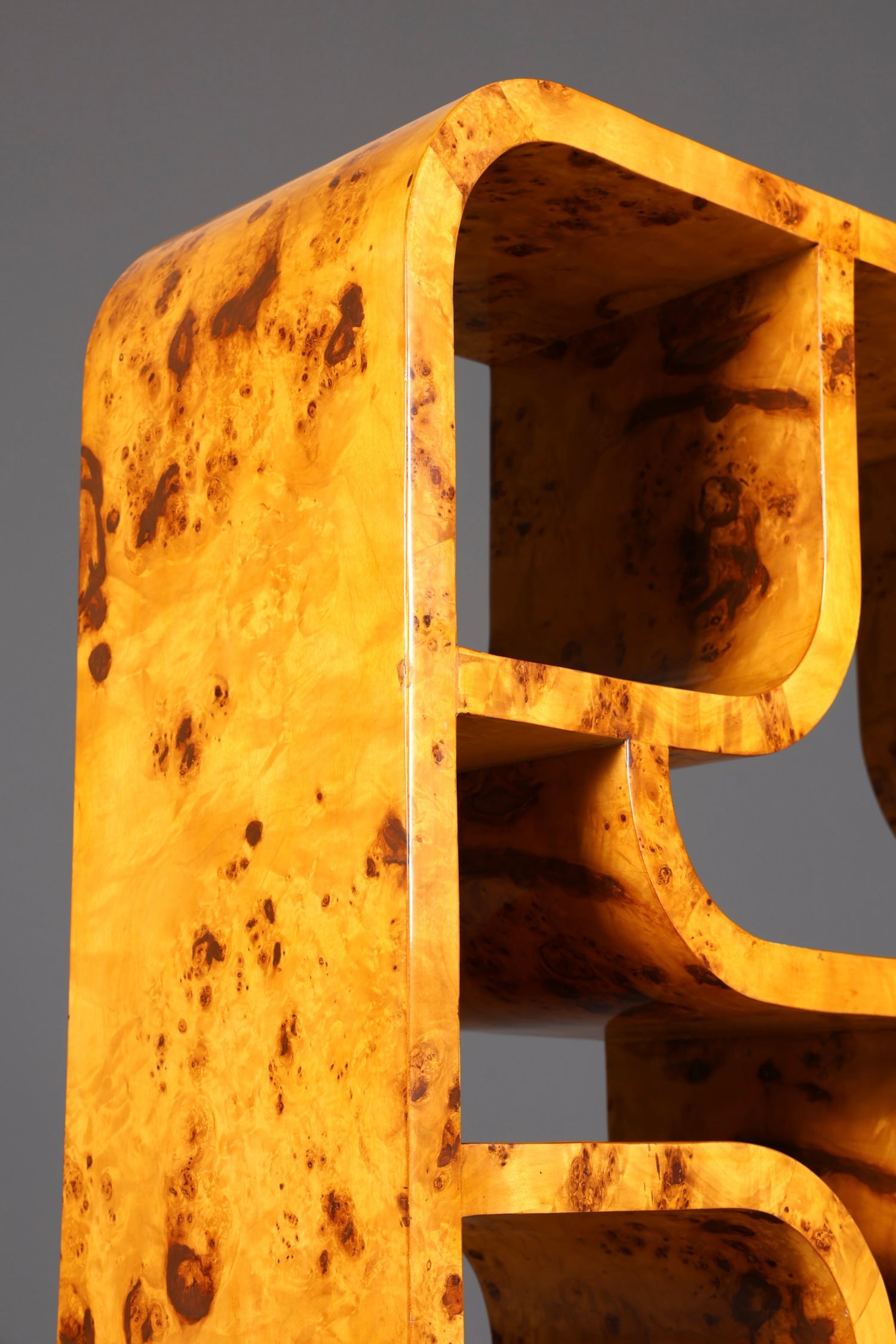 Impressionnante bibliothèque de style Ludvik Volak, en bouleau, style Art déco, meuble de luxe, pièce culte pour bibliothèque, séparateur de pièce