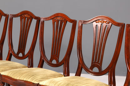 6x Traumhafte Stühle im Gustavianischen Stil Englisch Küchenstühle Antik Stuhl Set Esszimmer