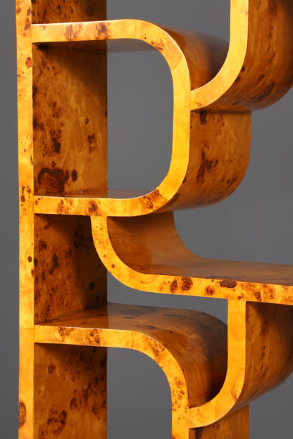 Impressionnante bibliothèque de style Ludvik Volak, en bouleau, style Art déco, meuble de luxe, pièce culte pour bibliothèque, séparateur de pièce