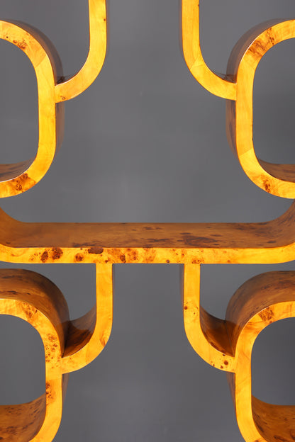 Impressionnante bibliothèque de style Ludvik Volak, en bouleau, style Art déco, meuble de luxe, pièce culte pour bibliothèque, séparateur de pièce