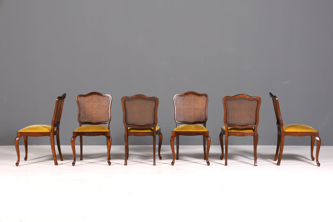 Ensemble de 6 magnifiques chaises Chippendale de style baroque, chaises rembourrées, chaises de cuisine, chaises de salle à manger