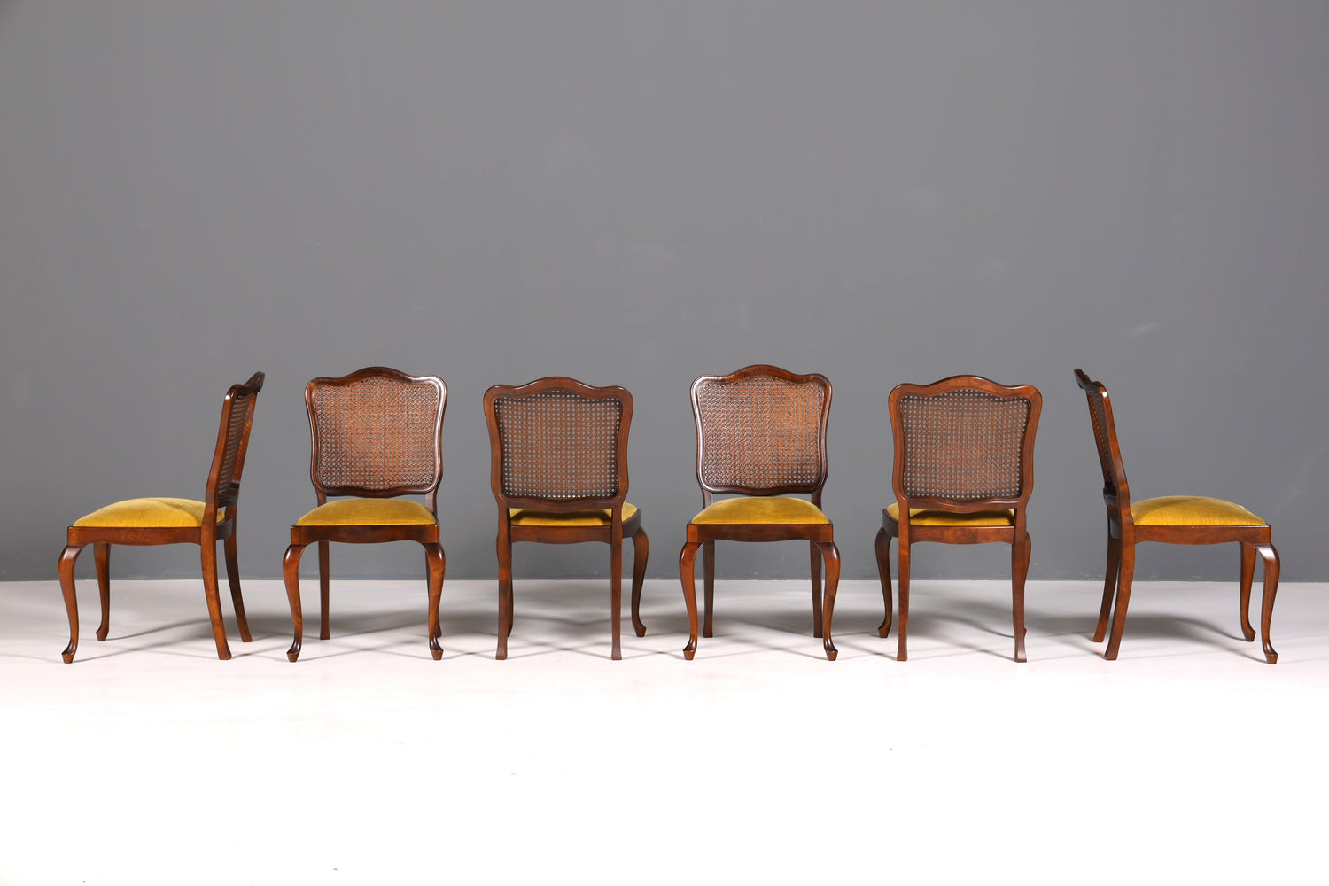 Ensemble de 6 magnifiques chaises Chippendale de style baroque, chaises rembourrées, chaises de cuisine, chaises de salle à manger