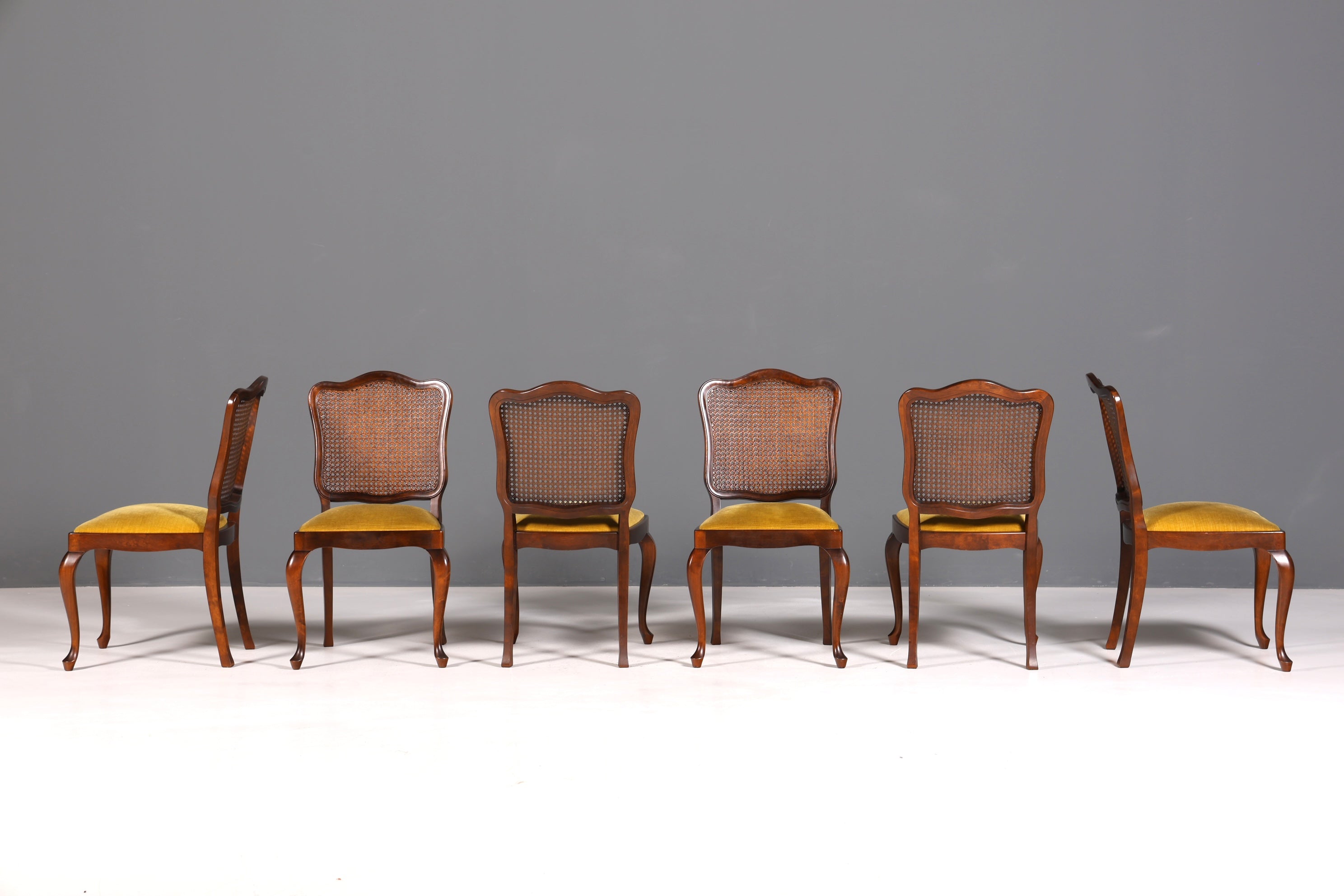 Ensemble de 6 magnifiques chaises Chippendale de style baroque, chaises rembourrées, chaises de cuisine, chaises de salle à manger