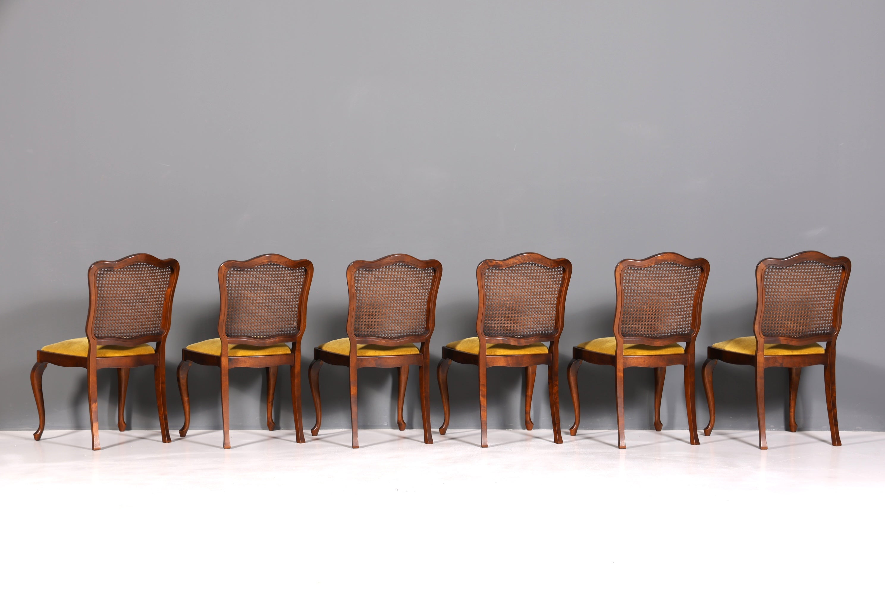 Ensemble de 6 magnifiques chaises Chippendale de style baroque, chaises rembourrées, chaises de cuisine, chaises de salle à manger