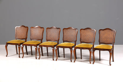 Ensemble de 6 magnifiques chaises Chippendale de style baroque, chaises rembourrées, chaises de cuisine, chaises de salle à manger
