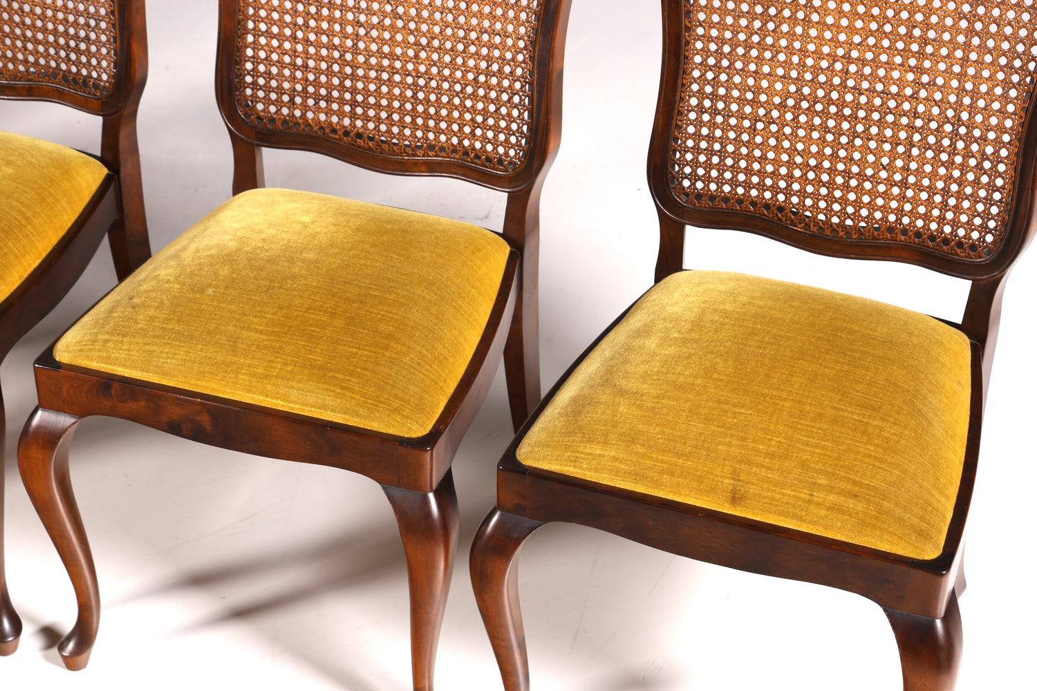 Ensemble de 6 magnifiques chaises Chippendale de style baroque, chaises rembourrées, chaises de cuisine, chaises de salle à manger