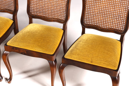 Ensemble de 6 magnifiques chaises Chippendale de style baroque, chaises rembourrées, chaises de cuisine, chaises de salle à manger