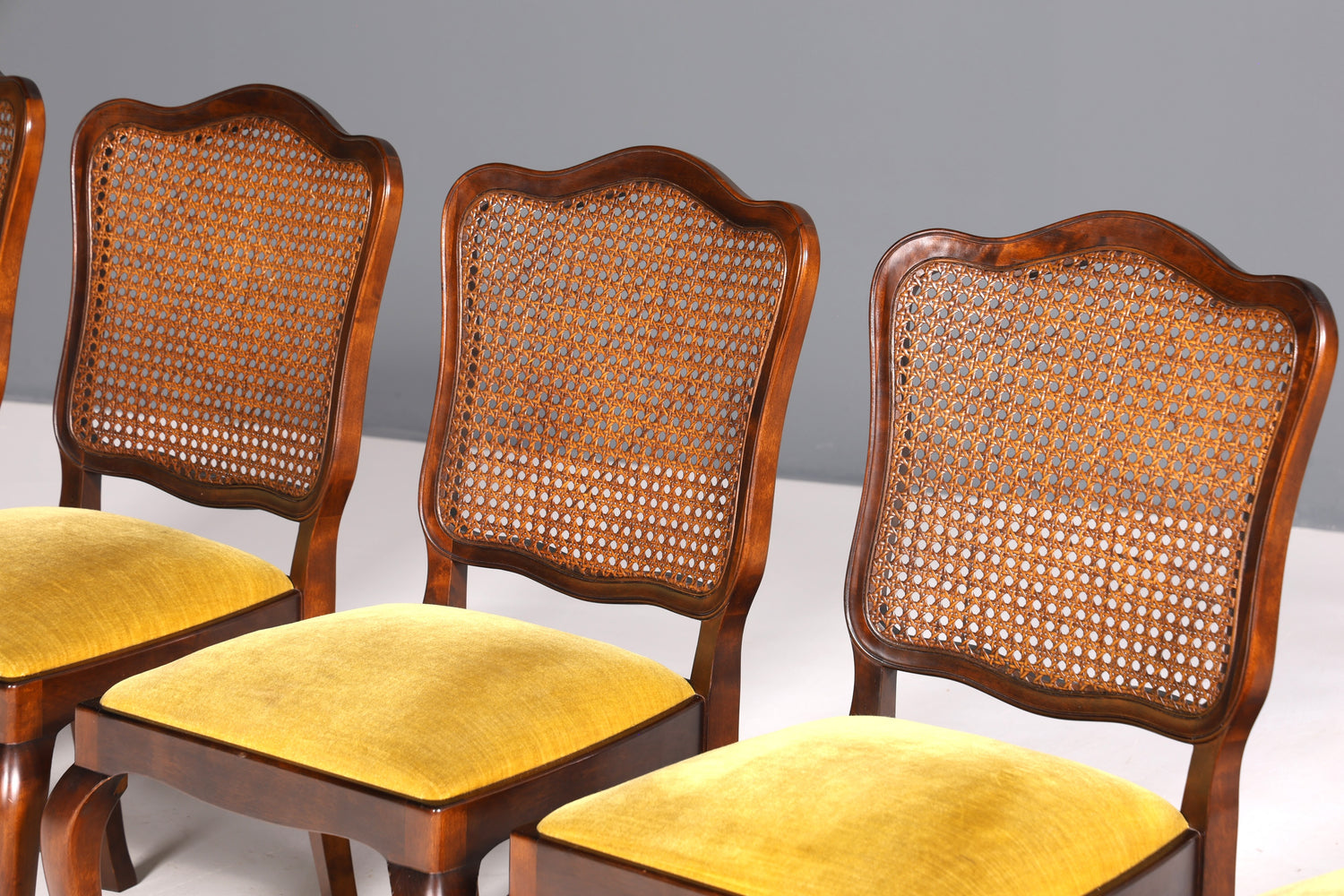 Ensemble de 6 magnifiques chaises Chippendale de style baroque, chaises rembourrées, chaises de cuisine, chaises de salle à manger