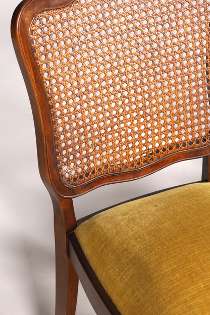 Ensemble de 6 magnifiques chaises Chippendale de style baroque, chaises rembourrées, chaises de cuisine, chaises de salle à manger