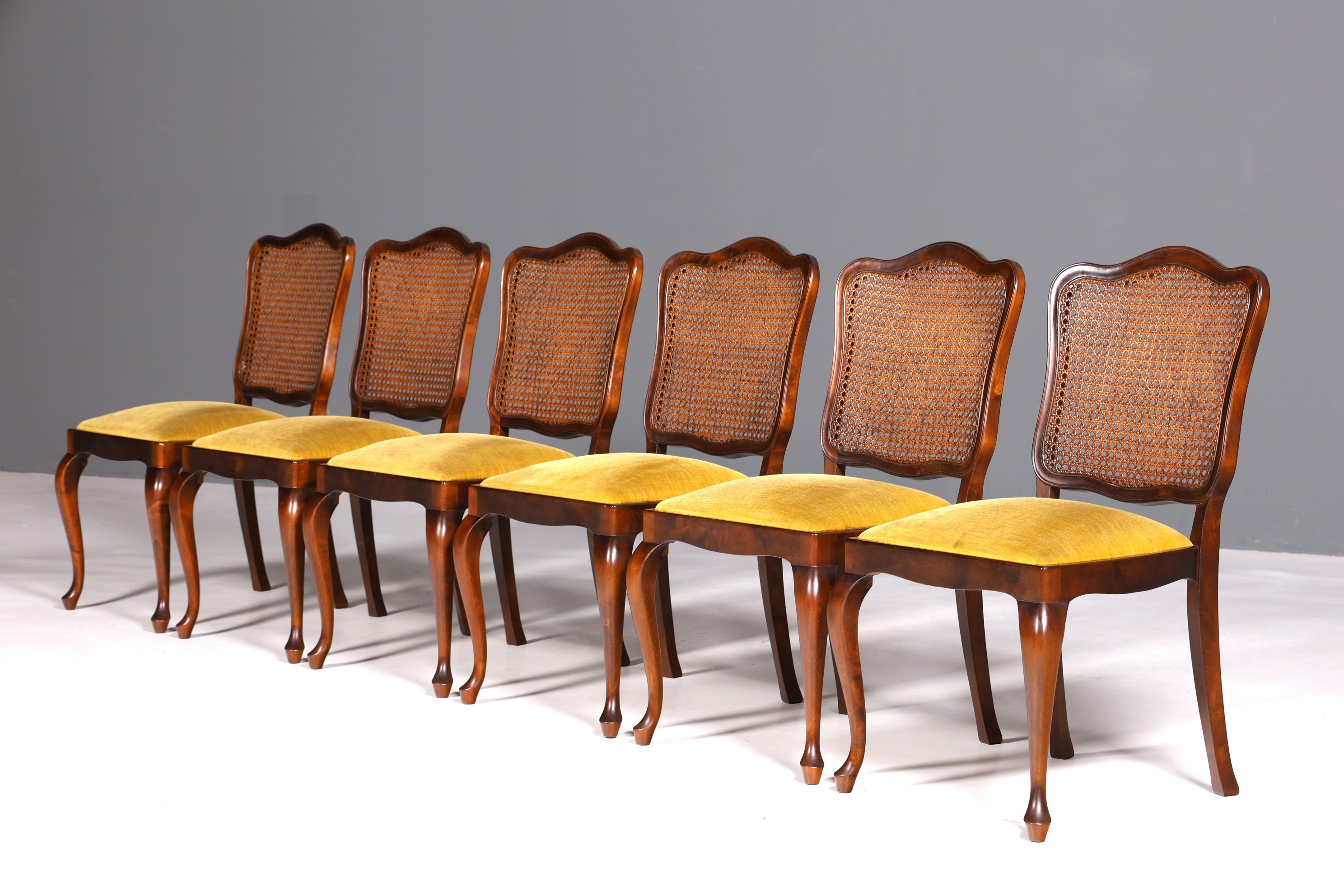 Ensemble de 6 magnifiques chaises Chippendale de style baroque, chaises rembourrées, chaises de cuisine, chaises de salle à manger