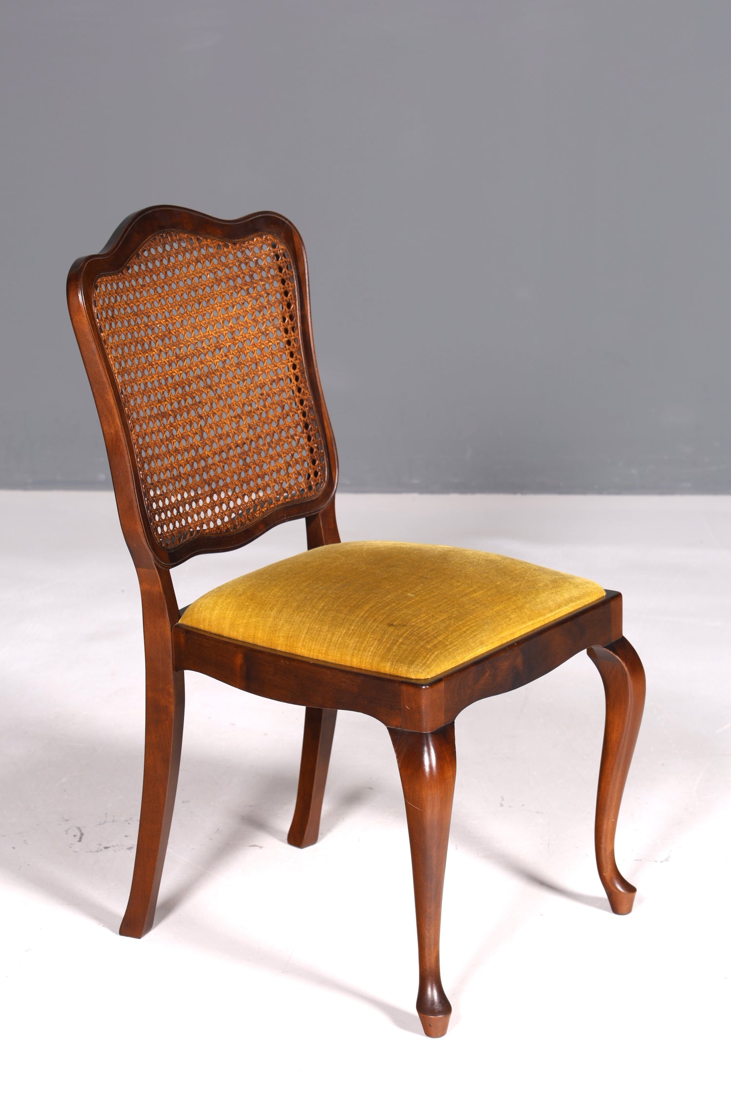 Ensemble de 6 magnifiques chaises Chippendale de style baroque, chaises rembourrées, chaises de cuisine, chaises de salle à manger