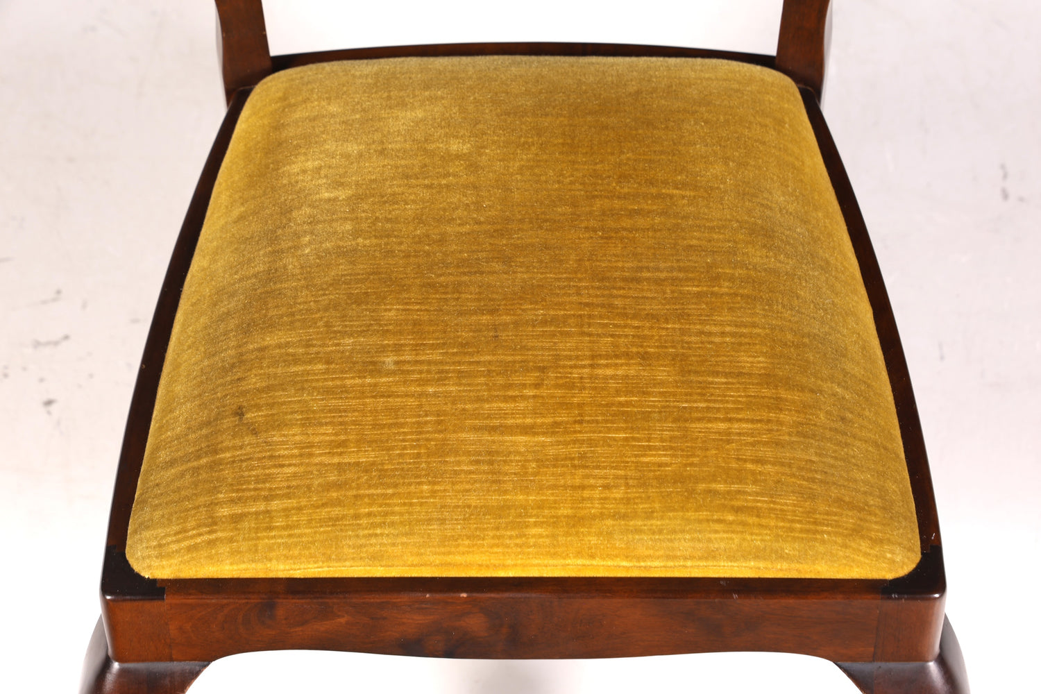 Ensemble de 6 magnifiques chaises Chippendale de style baroque, chaises rembourrées, chaises de cuisine, chaises de salle à manger