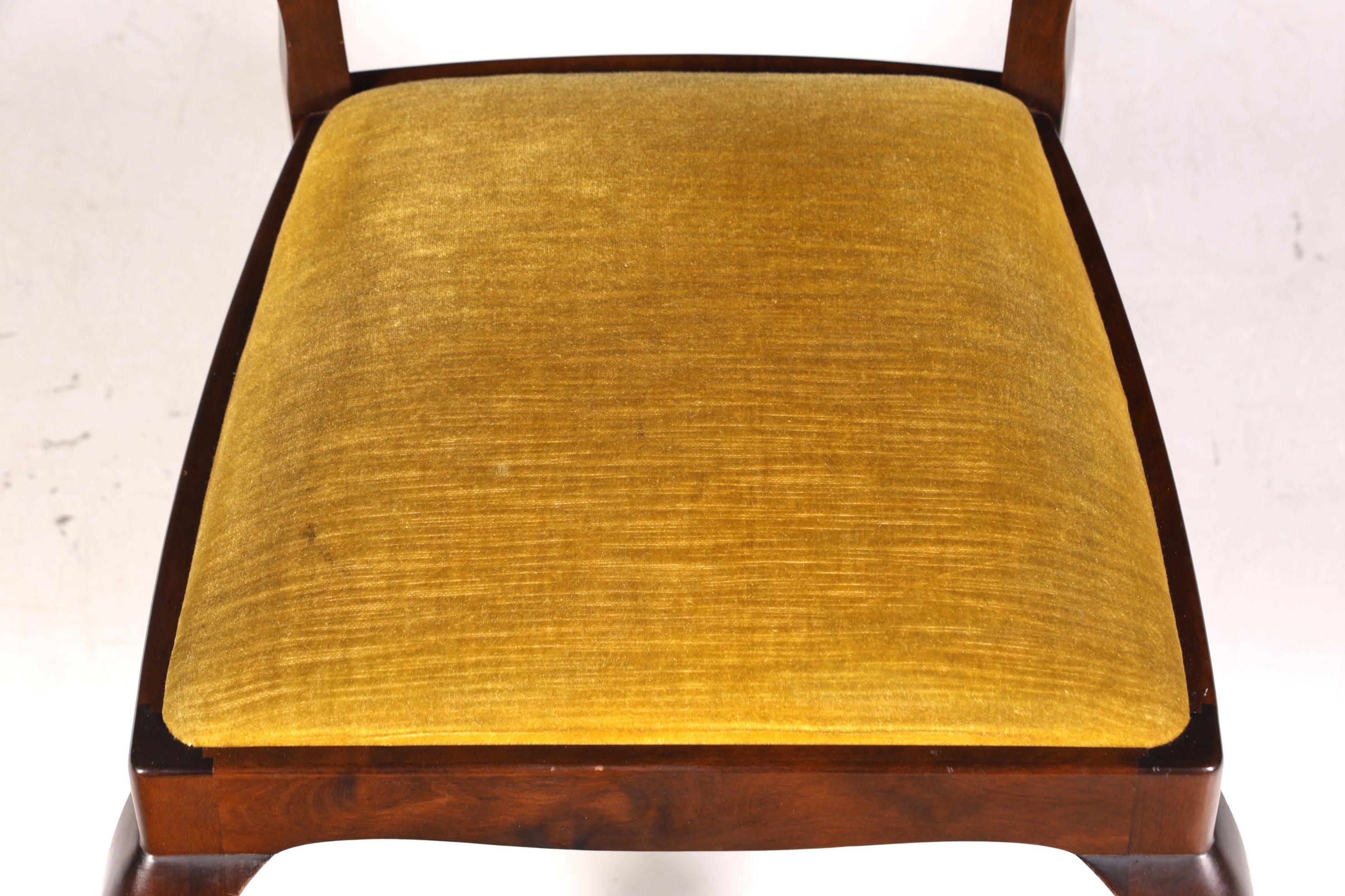 Ensemble de 6 magnifiques chaises Chippendale de style baroque, chaises rembourrées, chaises de cuisine, chaises de salle à manger