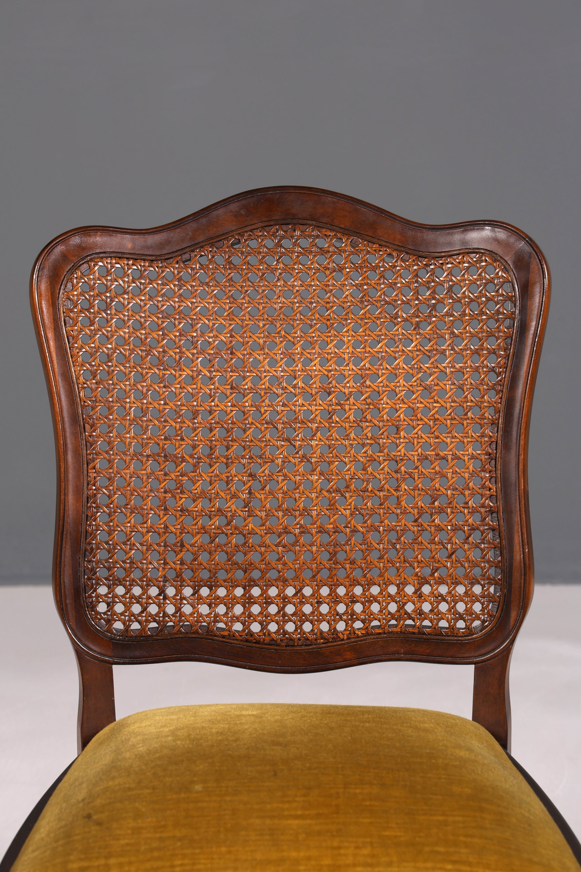 Ensemble de 6 magnifiques chaises Chippendale de style baroque, chaises rembourrées, chaises de cuisine, chaises de salle à manger