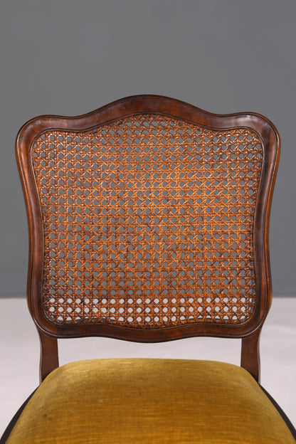 Ensemble de 6 magnifiques chaises Chippendale de style baroque, chaises rembourrées, chaises de cuisine, chaises de salle à manger