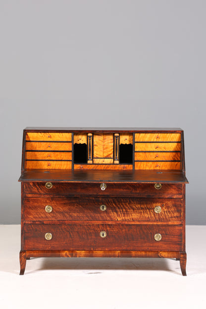 Wunderschöner Original Biedermeier Sekretär um 1860 Englisch Kommode Antik Bürokommode