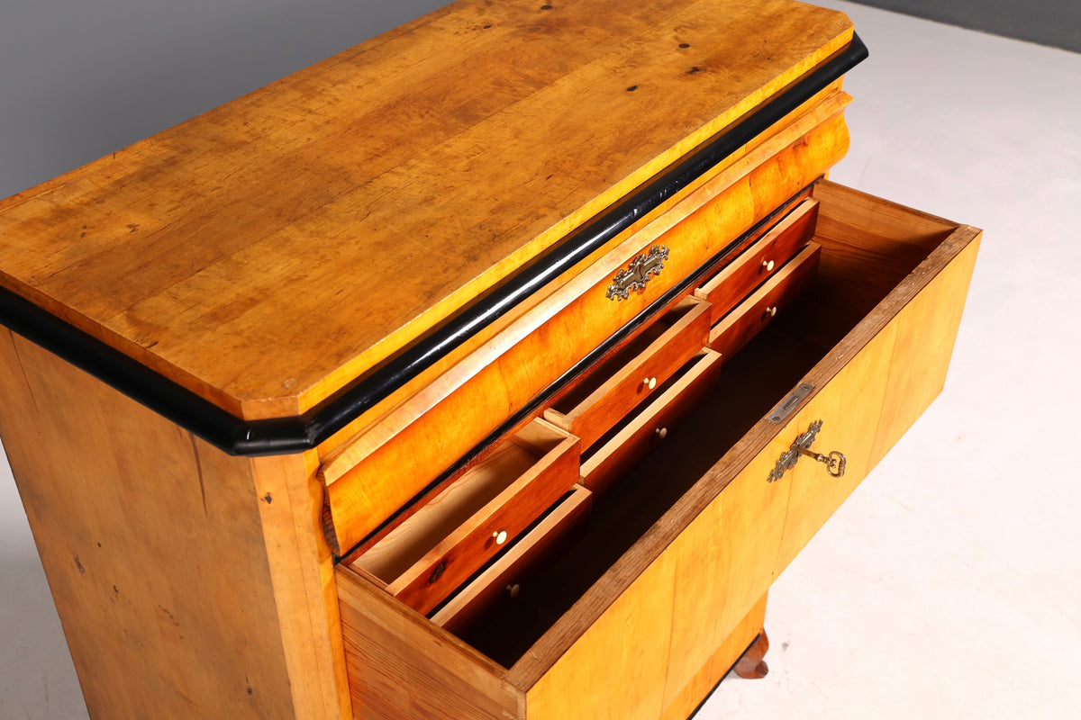 Wunderschöne Biedermeier Kommode Antik Vertiko Schubladenkommode Birke um 1850 Massivholz