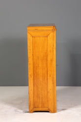 E893 Finish Stilvoller Biedermeier Sekretär Louis Philippe Vertiko Antik Kommode Schreibkommode Office Desk