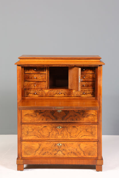 Wunderschöner Louis Philippe Sekretär um 1880 Gründerzeit Vertiko Antik Schrank Chiffoniere