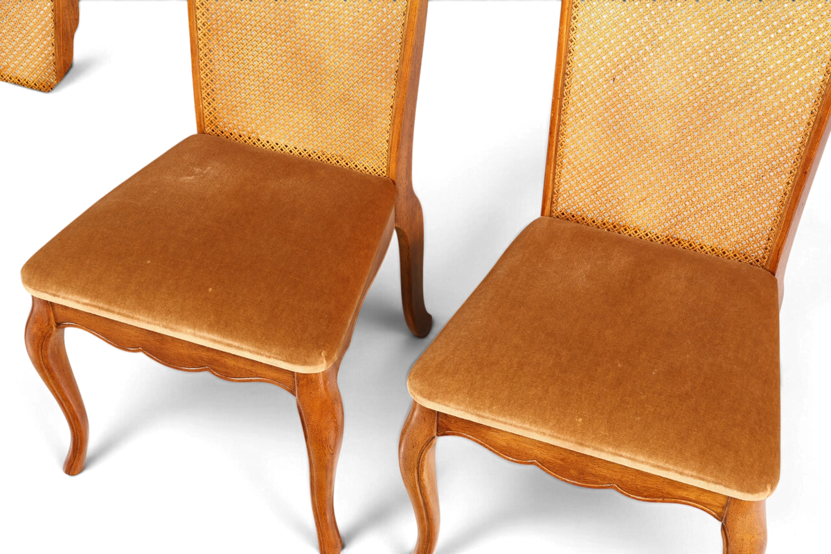 F987 Finish cm 4x Original Chippendale Stuhl Vintage Korbgeflecht Küchenstuhl Samt Stuhl